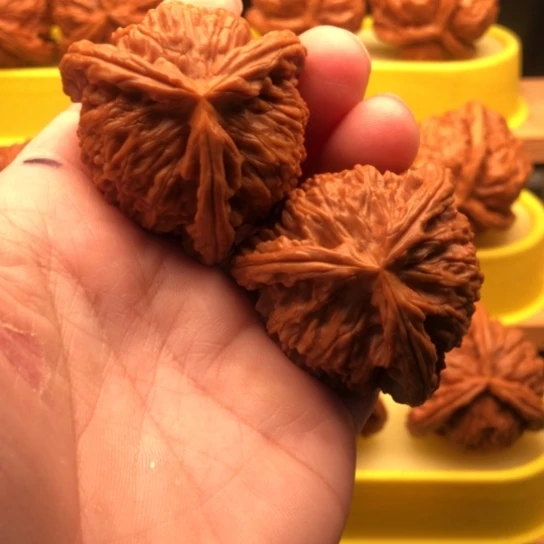 王***辉核桃核桃核桃核桃核桃