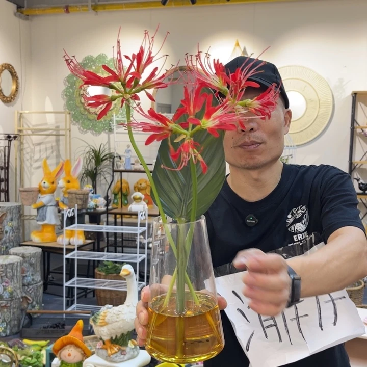 摆件哈哈哈哈哈哈哈哈哈