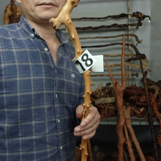徽***老香榧木高山 檬子木文玩料