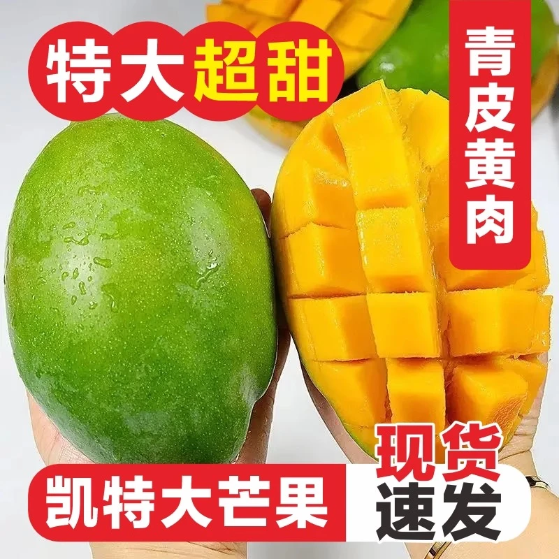 攀枝花凯特600G大青芒新鲜正宗热带青皮水果芒果整箱核薄肉厚