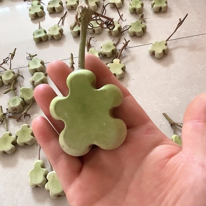 烤*葫芦葫芦葫芦葫芦葫芦葫芦