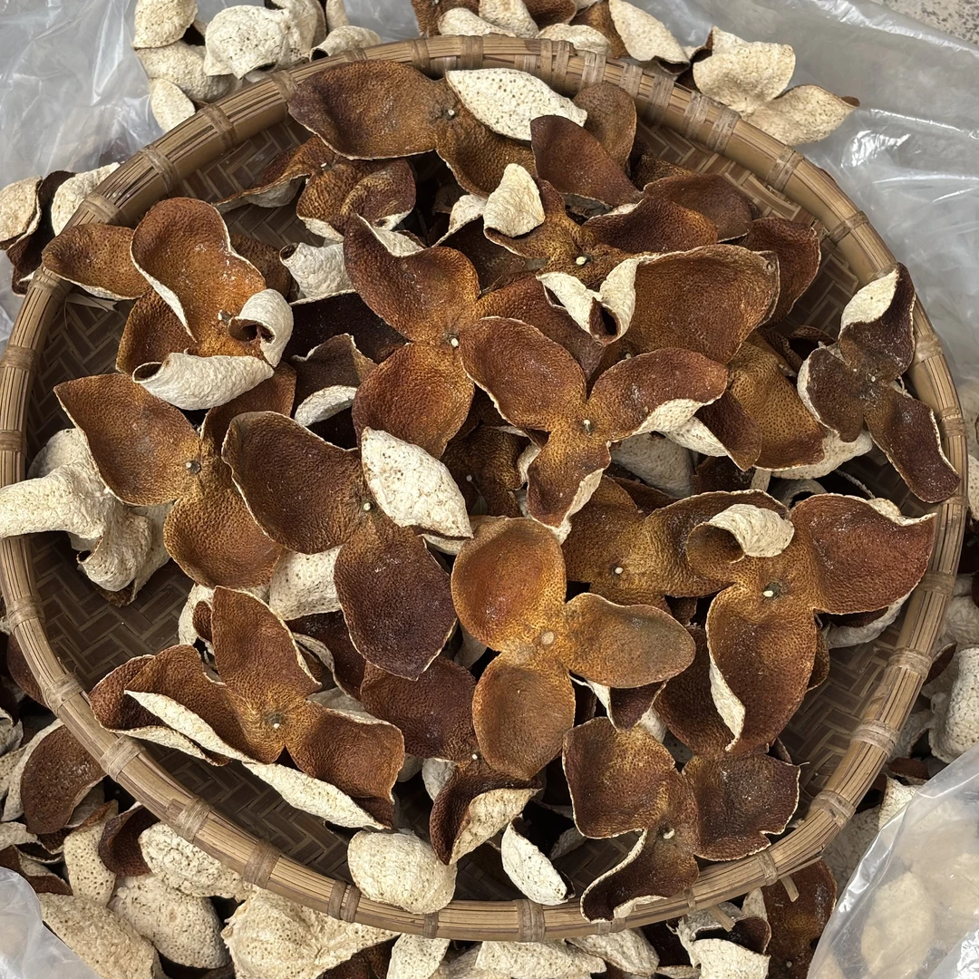 2023新会陈皮东甲冬后大红皮