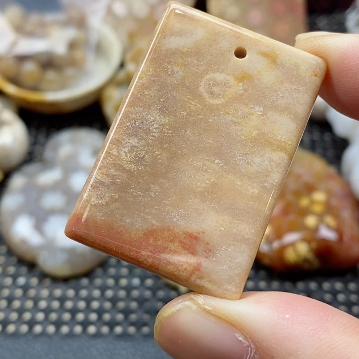 硅化珊瑚（珊瑚玉）颈饰未镶嵌