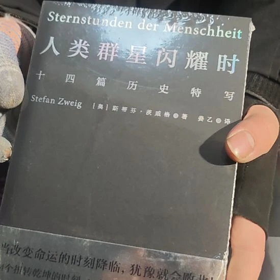 人类群星闪耀时平装库存书