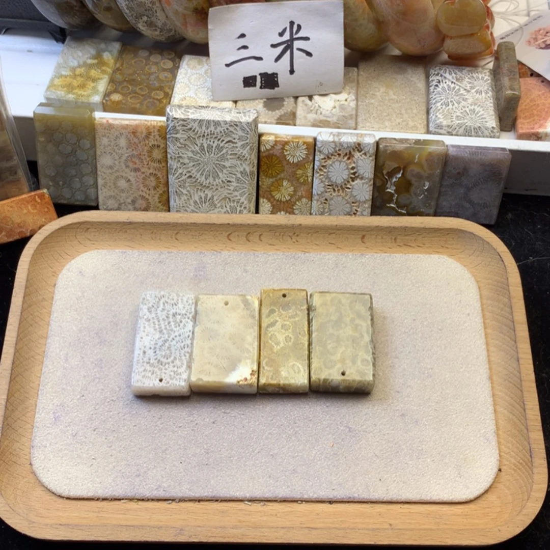 脑***子硅化珊瑚（珊瑚玉）未镶嵌颈饰
