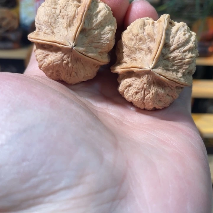 把件文玩核桃编号99