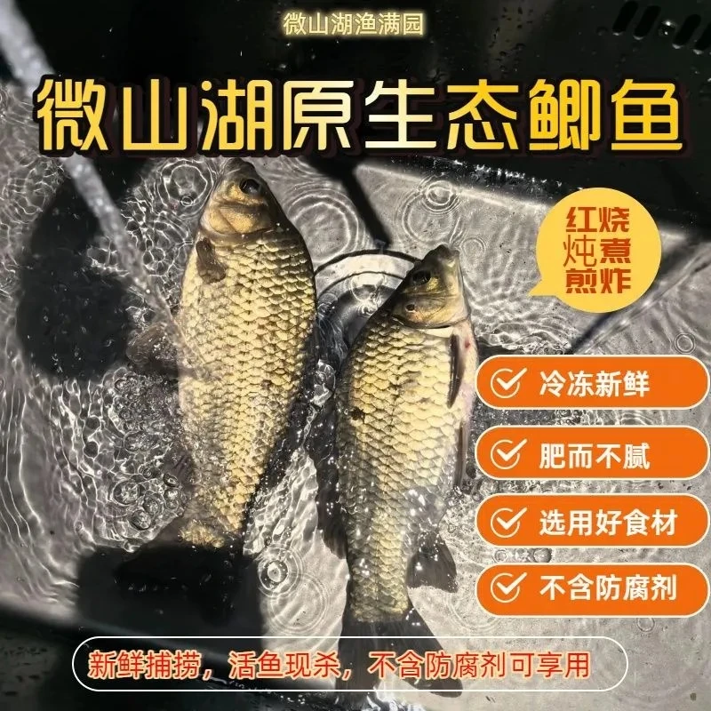 【拍4斤送1斤】直播间粉丝专属当天现捕新鲜活鱼现杀抽真空