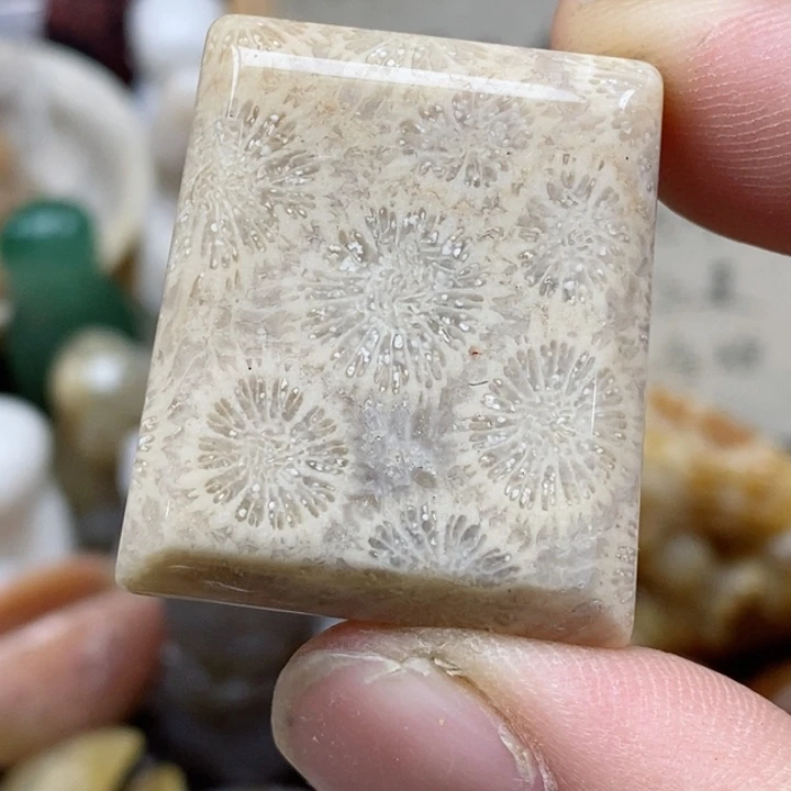 硅化珊瑚（珊瑚玉）未镶嵌颈饰