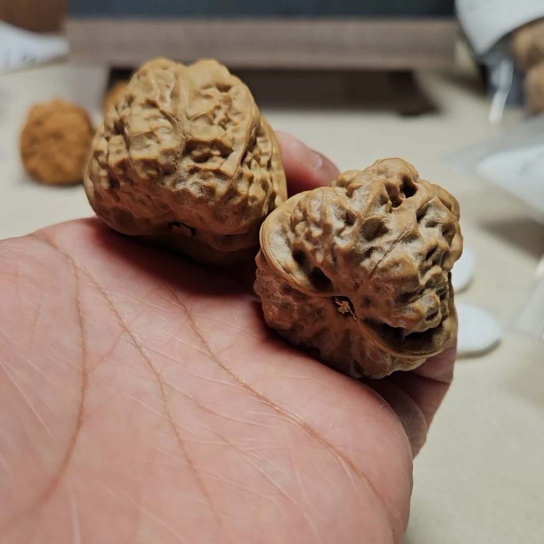 把件文玩核桃HF305文玩核桃蛤蟆头