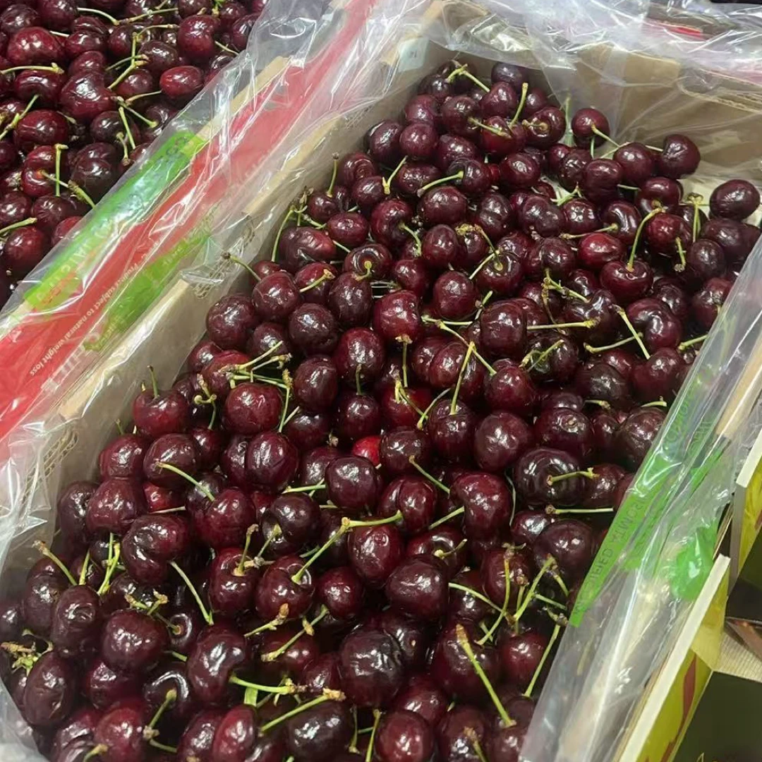 4 J J J J智利空运车厘子（2. 5斤左右）桑迪娜一小时送达智利