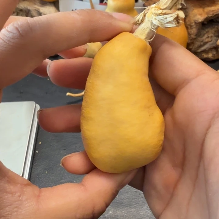 ～****888…………………………………………