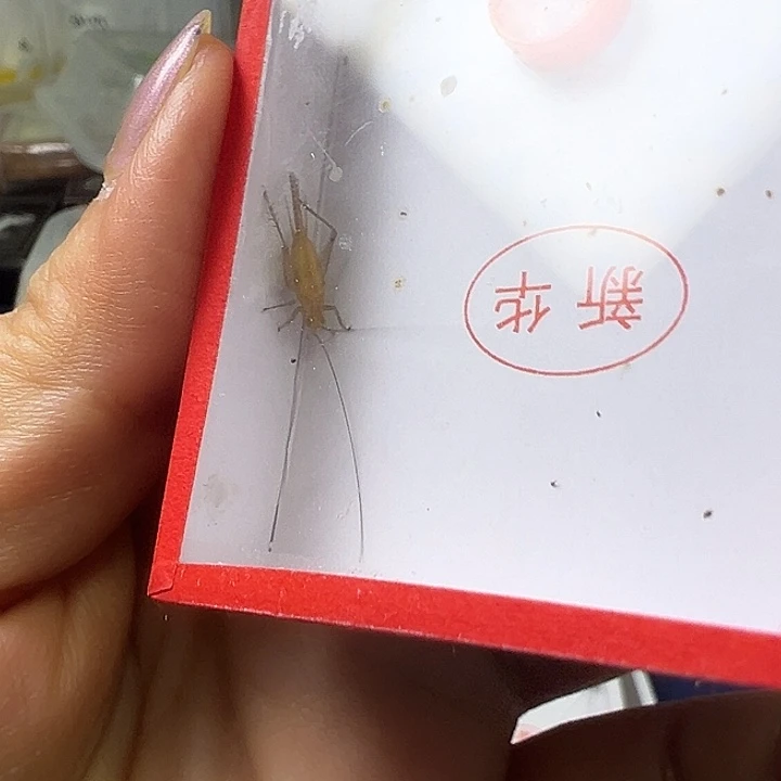 鱼***龙哈哈哈哈哈哈哈哈哈哈