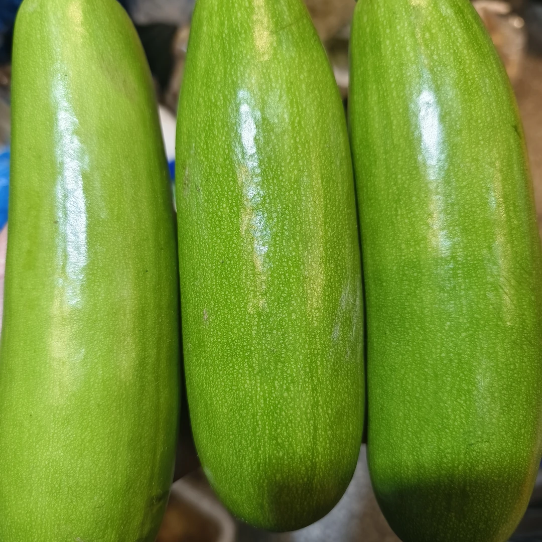 （明天到店自提）西葫芦（2.79元2斤左右）