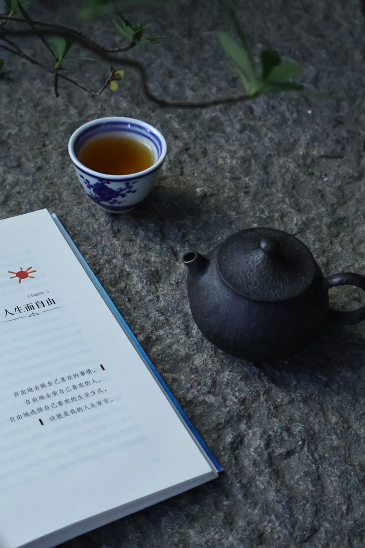 【小欢喜】程力钦设计款原创雕刻石壶·冰碛岩工艺美术大师作品160cc