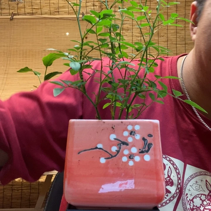 C****I一物一拍所见即所得283