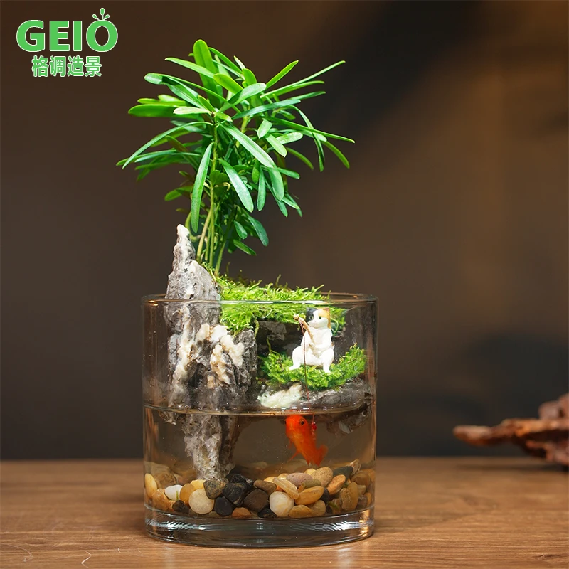 成品苔藓微景观生态缸全套创意桌面真绿植办公室懒人养鱼造景植物