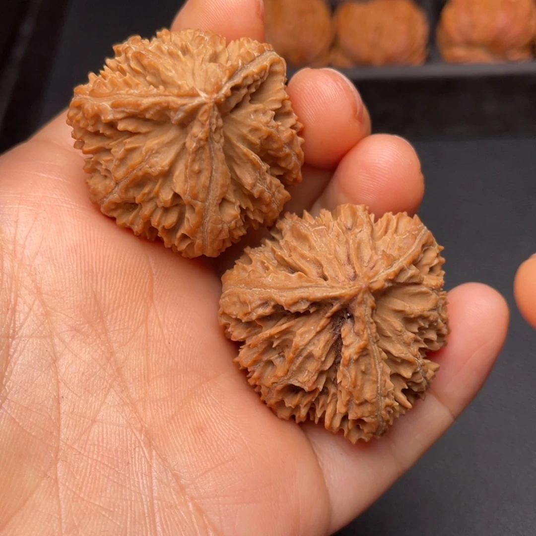 秦岭山脉文玩核桃