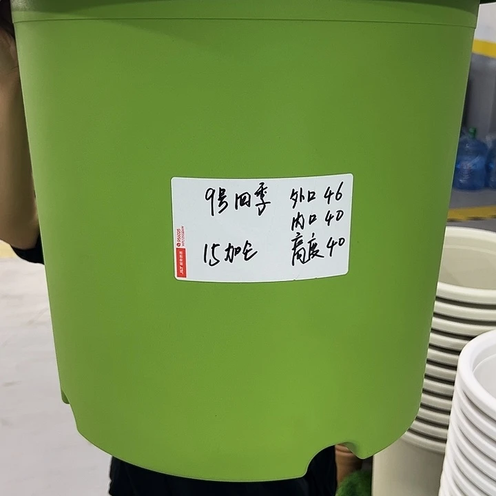 正品9号四季口46高40果绿带托3只