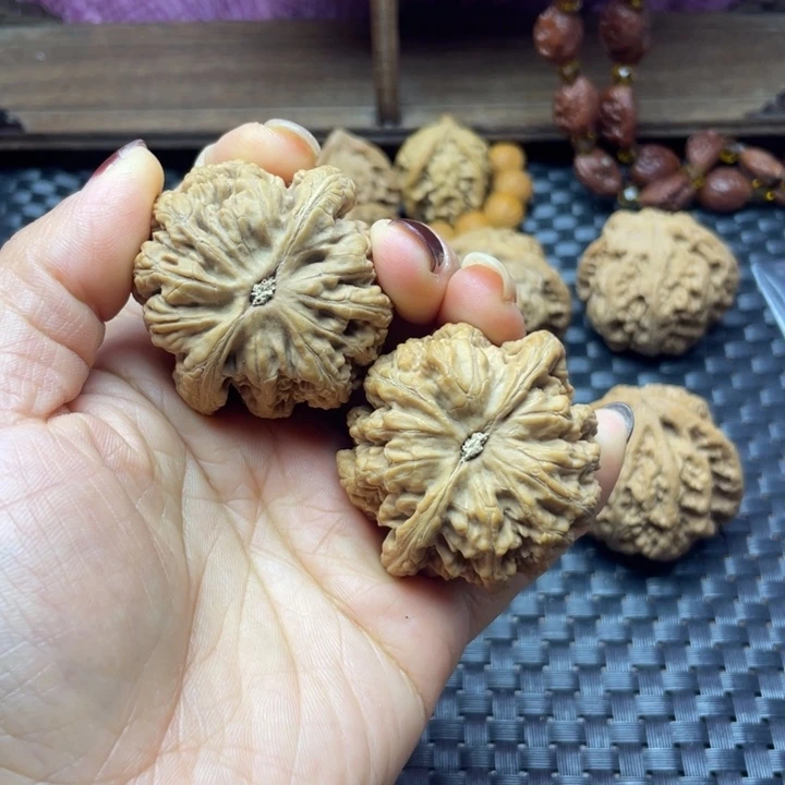 海***川文玩核桃吊坠粗筋