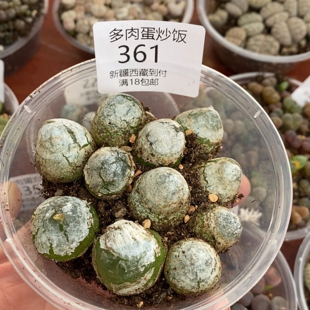 感谢您的支持，00361