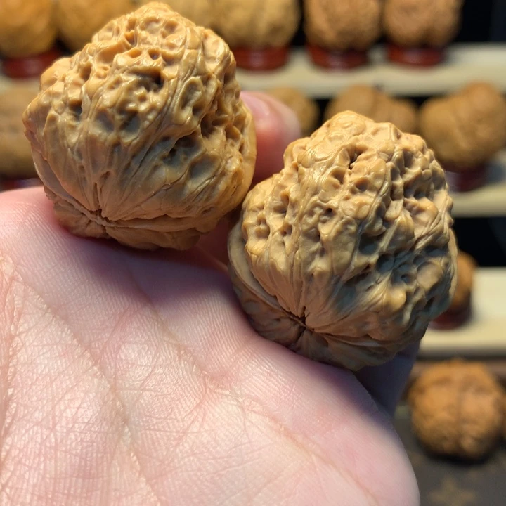 文玩核桃把件35五毒蟾