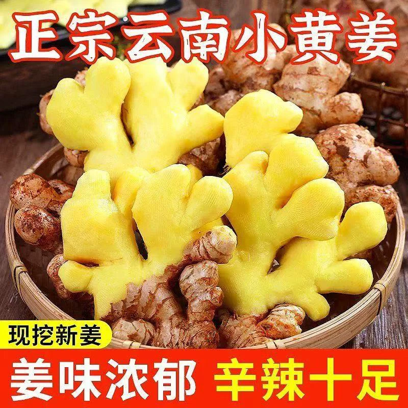 云南罗平高山小黄姜老姜调味姜生姜仔姜泡姜姜香浓郁