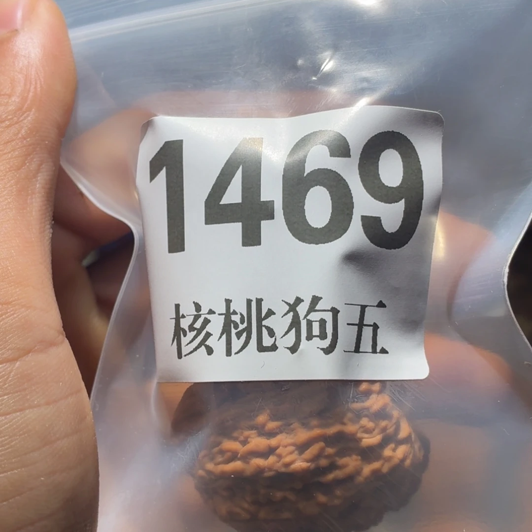 肉***鸡文玩核桃吊坠绣球1469