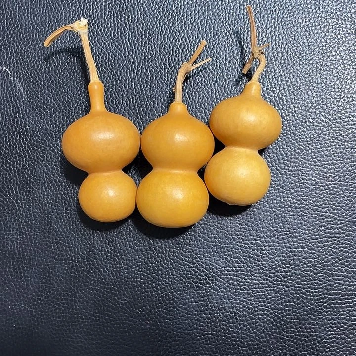 锦*葫芦葫芦葫芦葫芦