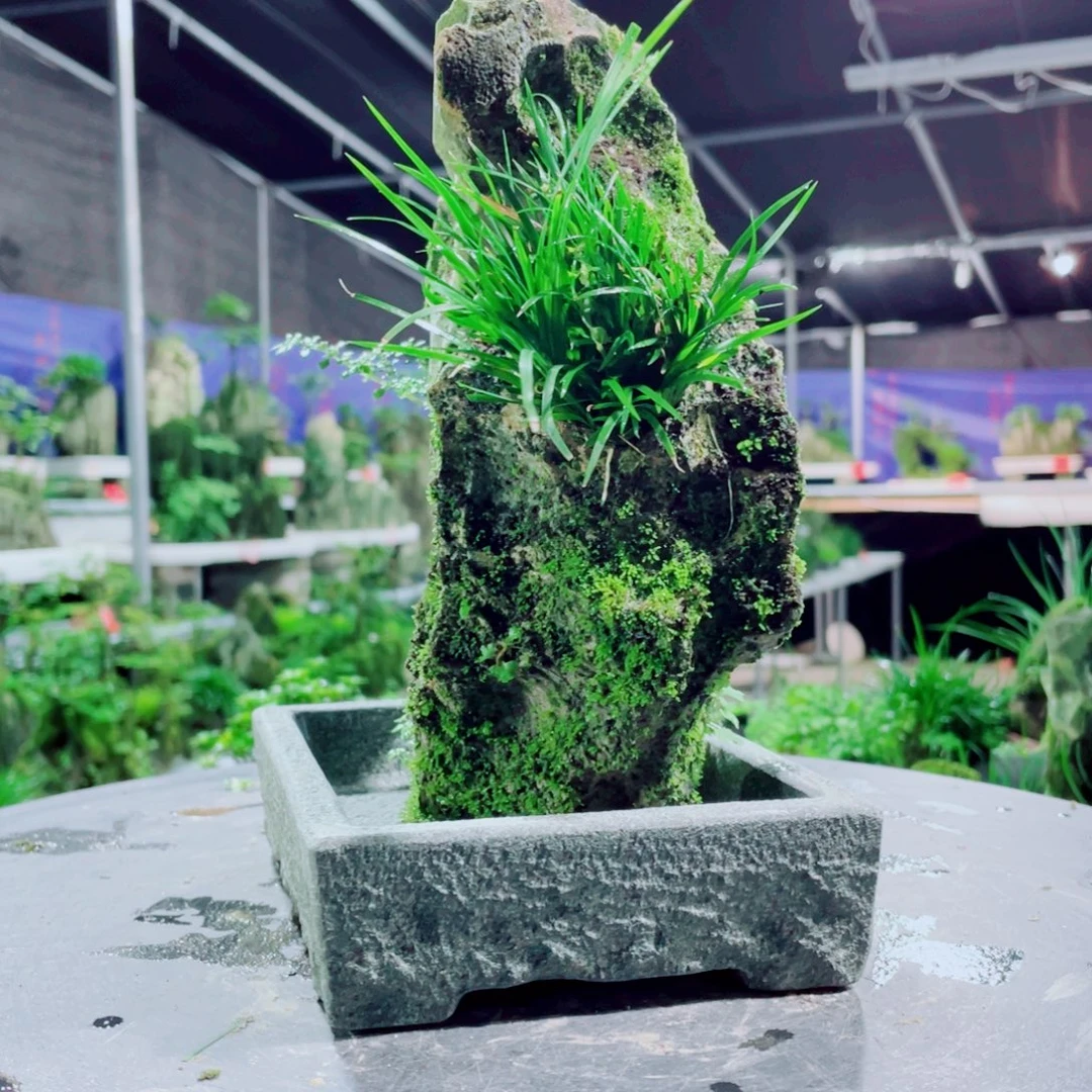 L***n无花朵好喜欢你这首情歌好治愈