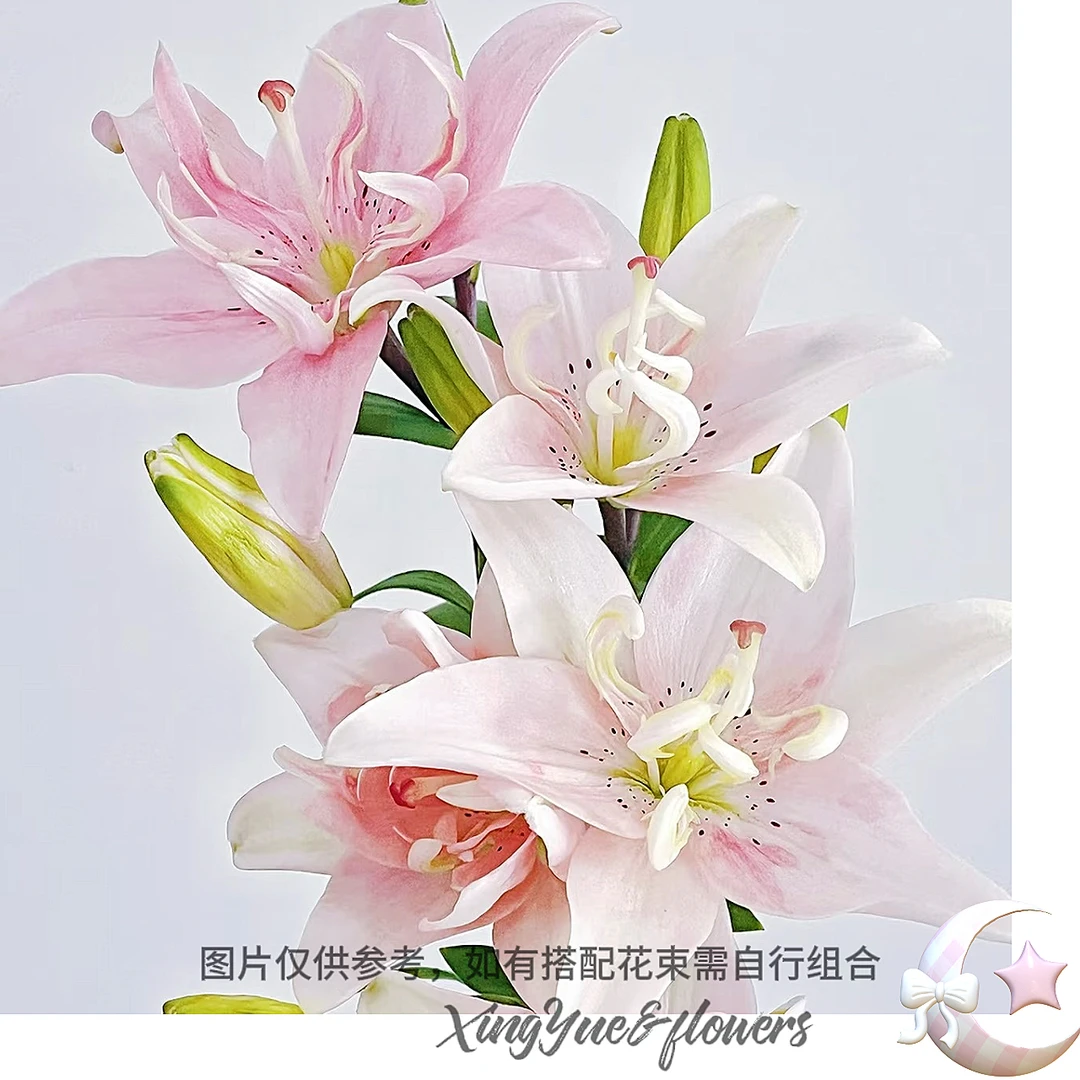 【星玥鲜花】思念多头百合