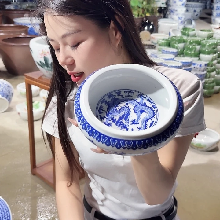 瓷片口径13厘米 高度6厘米