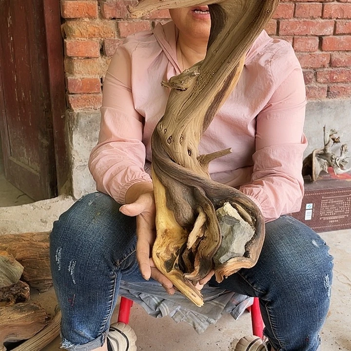 柏木用****4太行崖柏崖柏树