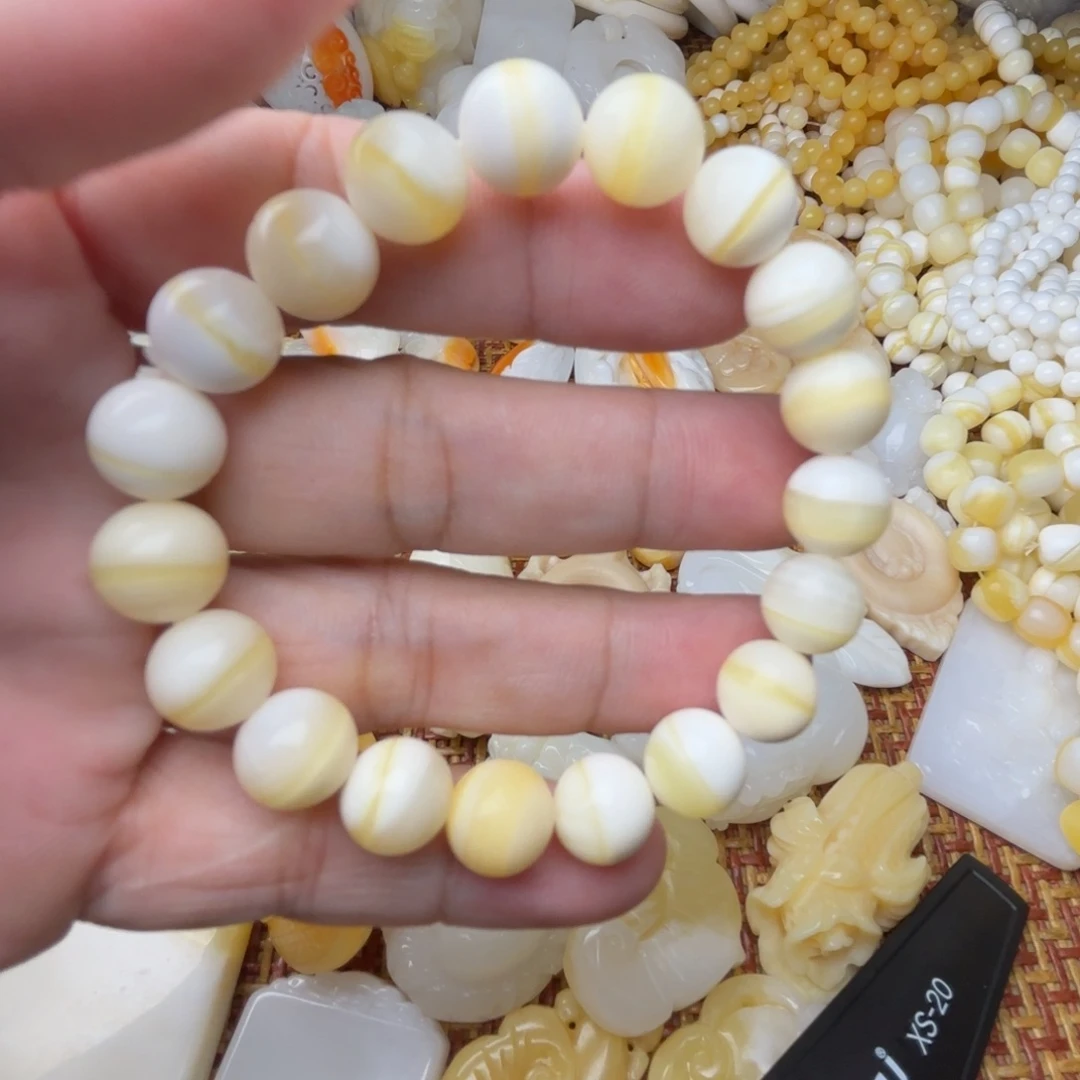 贝壳非金属天然贝壳