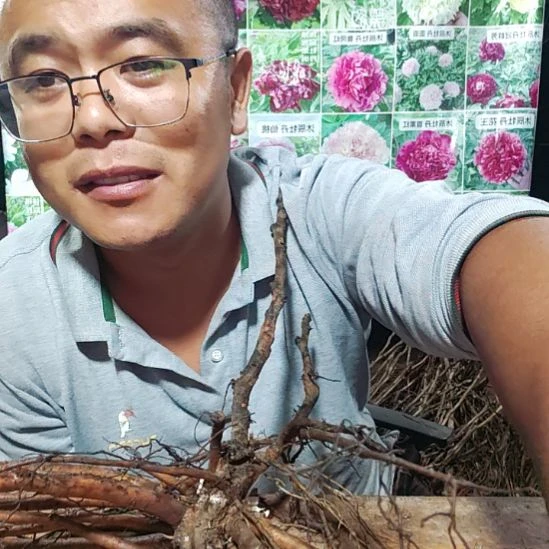 完全开放彩绘.......