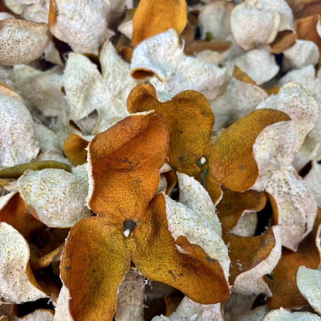 【梁总推荐】新会陈皮 2024年南坦积壳大红皮