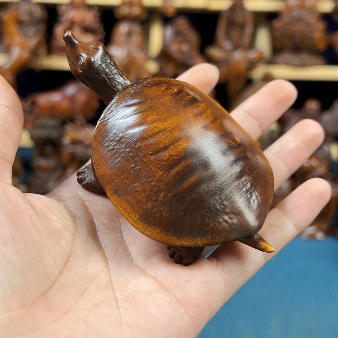 黄杨木小叶黄杨木