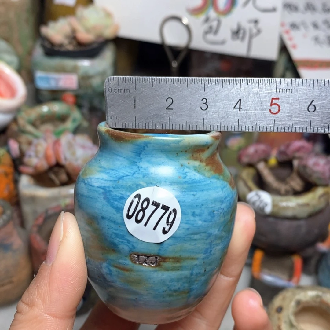 花盆拍5送一个小礼物