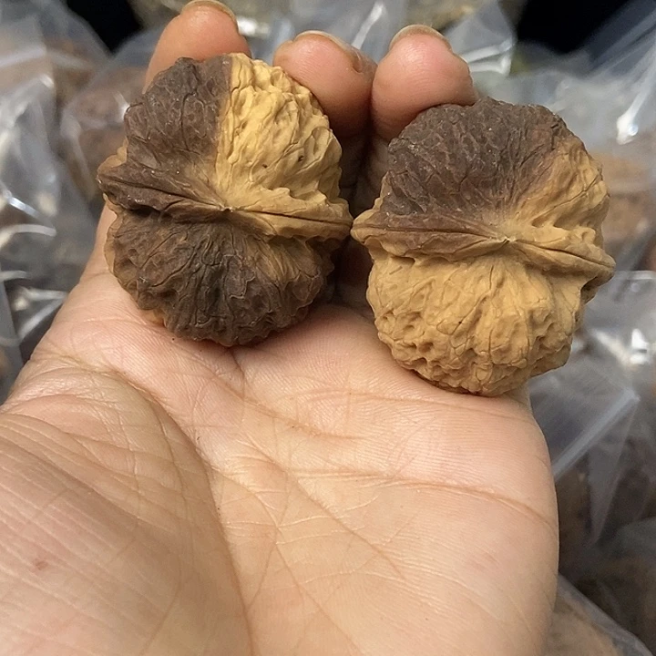 文玩核桃把件云南铁核桃基地56