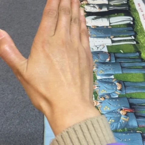 瓷片景德镇陶瓷研究所