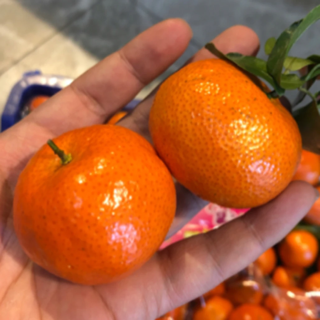 推荐.四川砂糖橘（2斤）