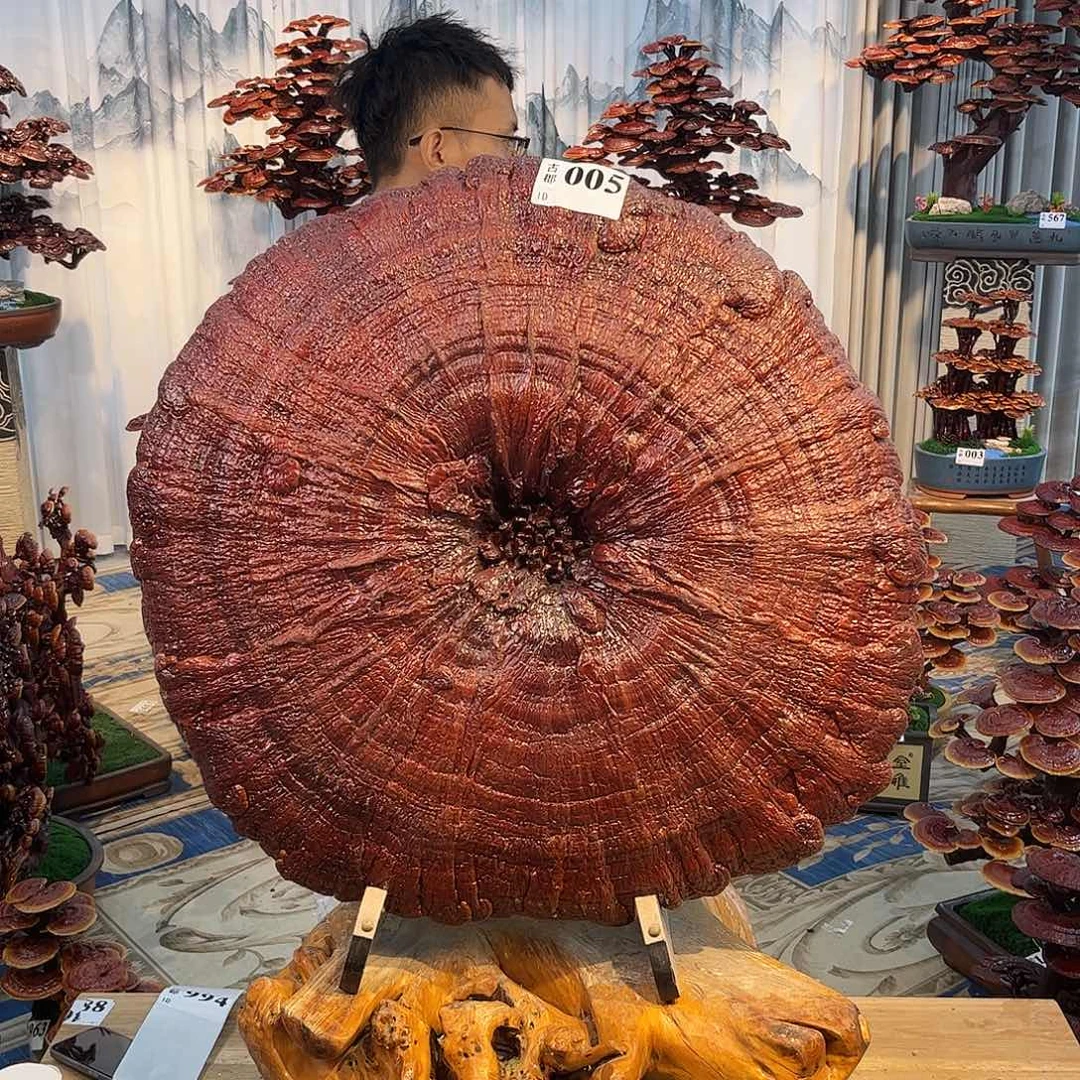 无花朵888888888888