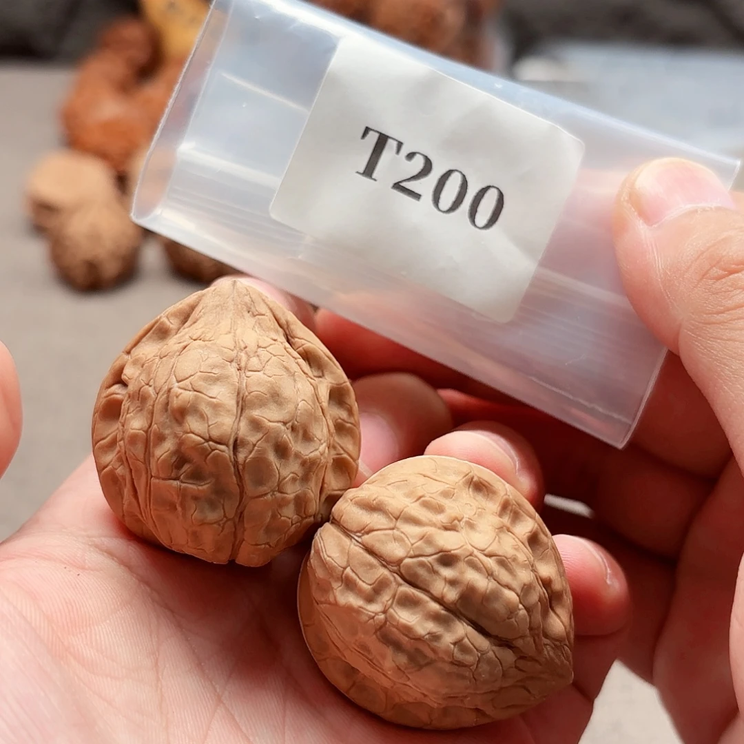 吊坠文玩核桃龟甲纹T200