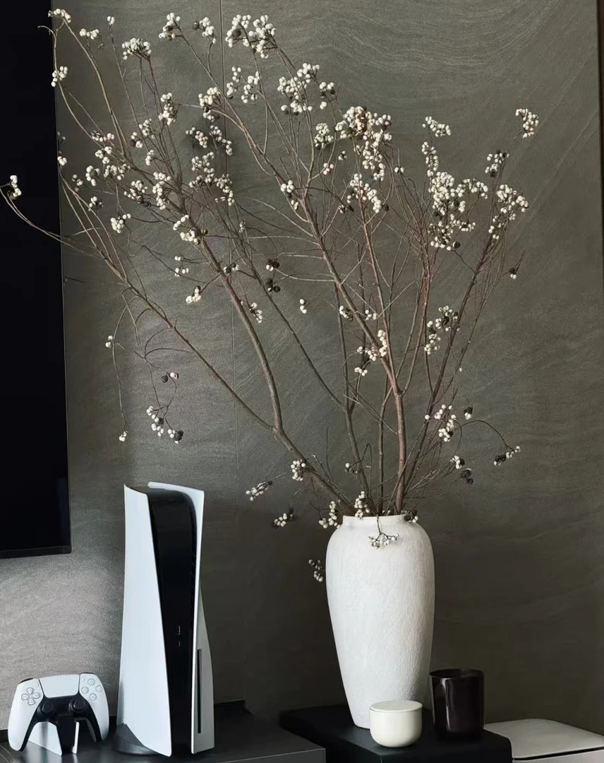 【顺丰包邮A级菩提果】乌桕果鲜切氛围感可做干花