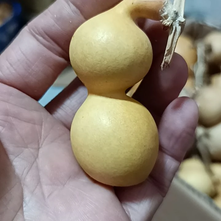 哈**串葫芦葫芦葫芦葫芦葫芦葫芦