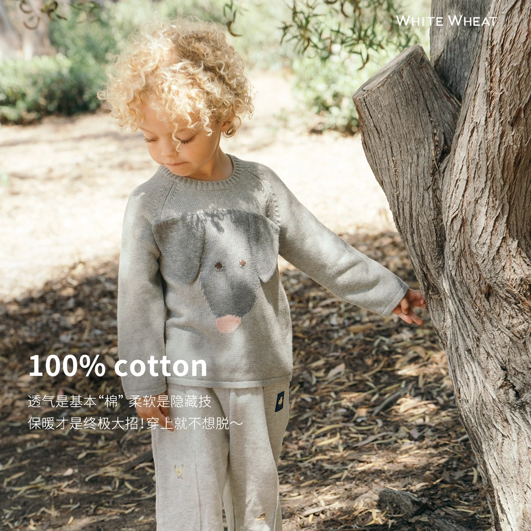 【99大促新品】whitewheat儿童2025秋季新款纯棉毛衣针织衫WWBQM001