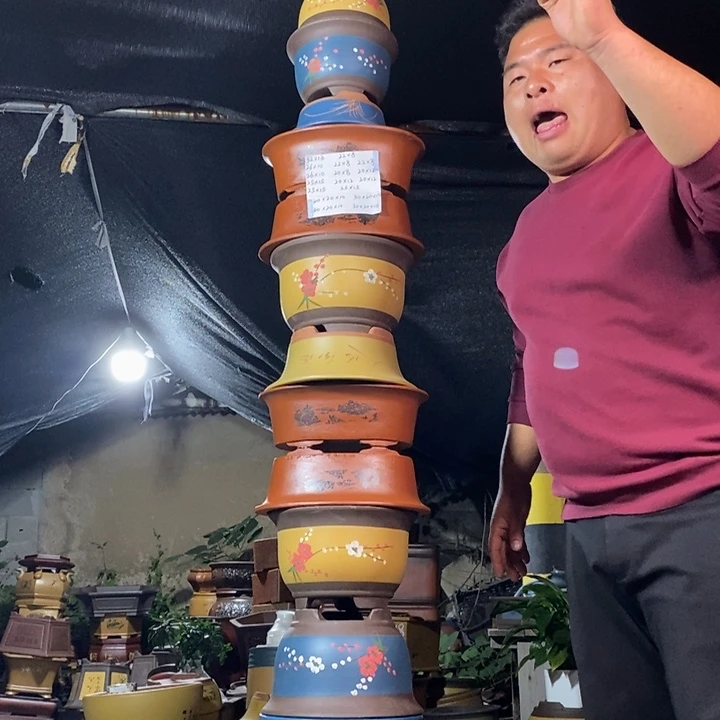 紫砂紫砂紫砂紫砂