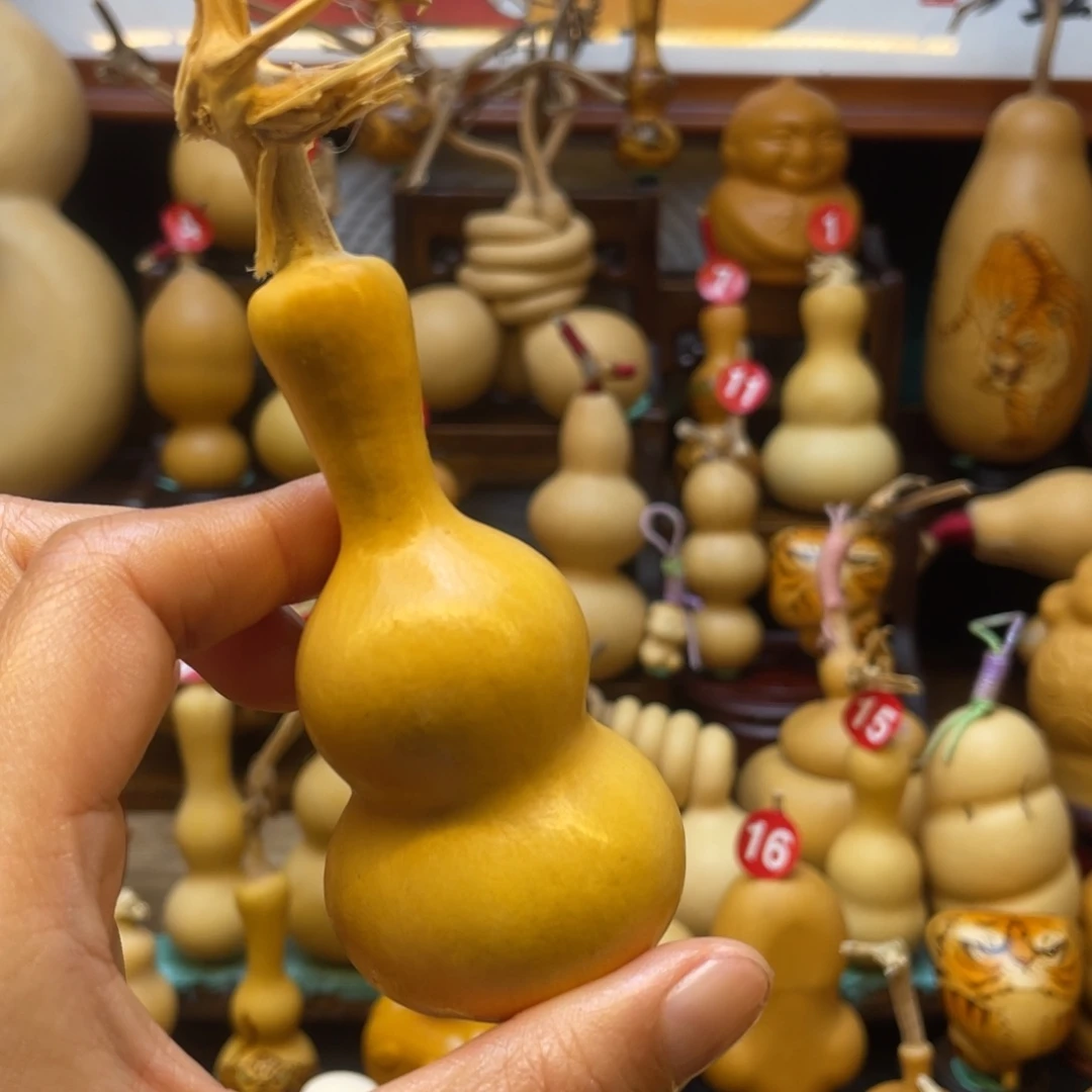 鱼****葫芦等经济林木的分布情况及