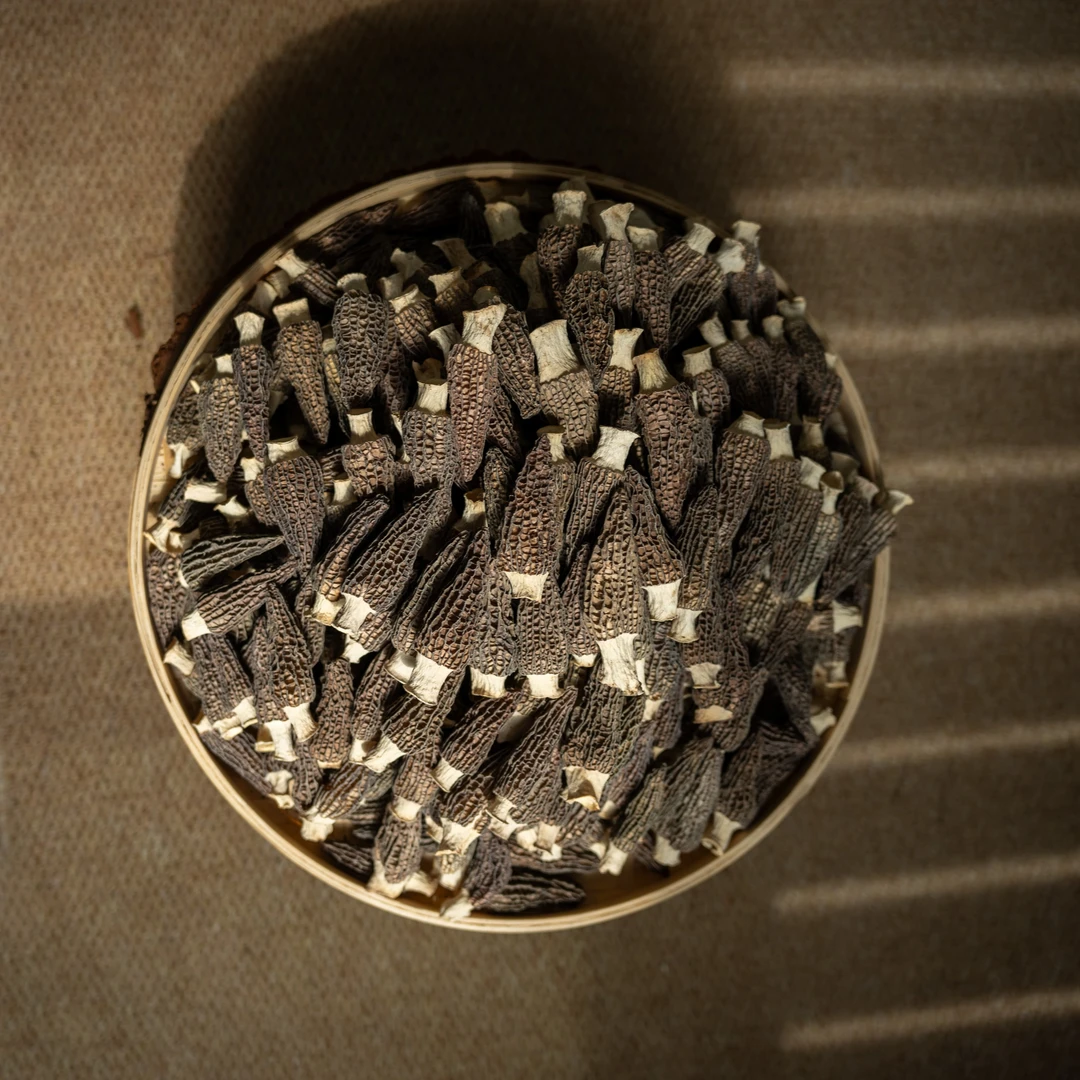 高山头茬羊肚菌2025新货【5-7厘米/7-9厘米】煲汤营养菇