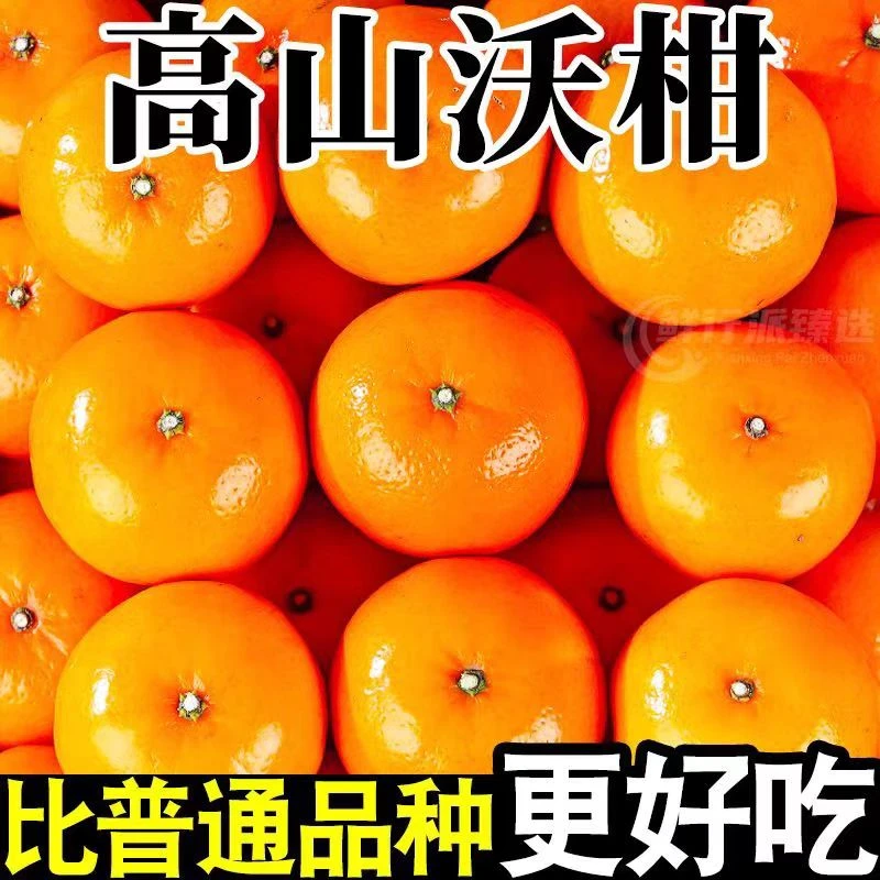 云南高山沃柑新鲜水果产地直发包邮