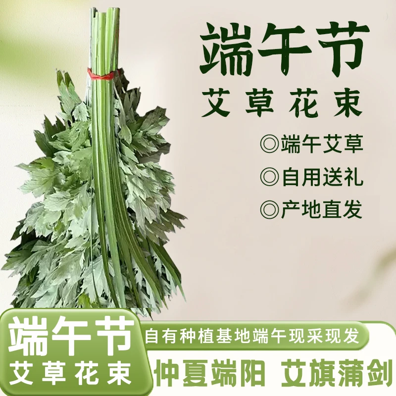 【文老师专享】湖北艾都蕲春端午节挂门艾草花束蕲艾